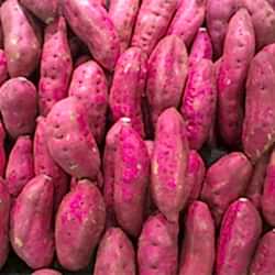 Beypazarı Organik Kırmızı Patates  KG 