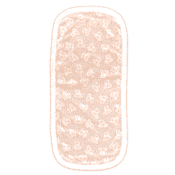 OrganicKid Organik Omuz Örtüsü  Koala  Ekru 