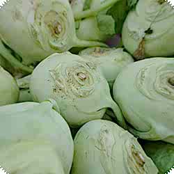 Organik Alabaş  ADET 