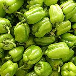 Organik Dolmalık Biber  KG 