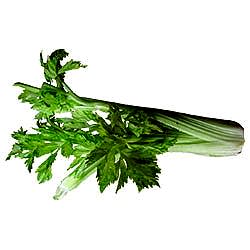 Organik Kereviz Sapı  Demet 