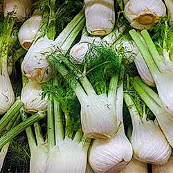 Organik Rezene  Adet 