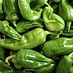 Organik Köy Biberi  KG 