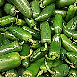 Organik Biber  Yeşil Kapya   KG 