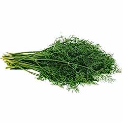 Organik Dereotu  DEMET 