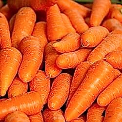 Organik Beypazarı Havuç  KG 