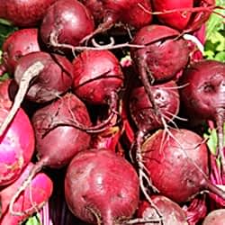 Organik Kırmızı Pancar  KG 