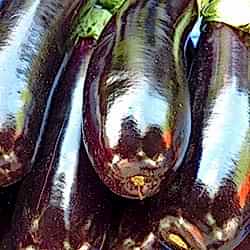 Organik Patlıcan  KG 