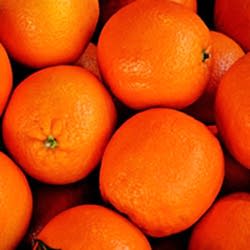 Organik Portakal  KG 