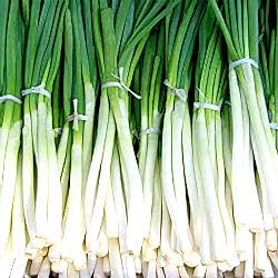 Organik Taze Soğan  DEMET 