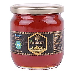 Yörükçayır Organik Zengin Çiçekli Ham Yayla Balı 500g