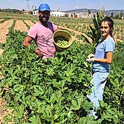 Ersöz Organik Çiftlik, Afyon Başmakçı