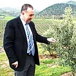 İlhan Sarı Organik Zeytin Çiftliği